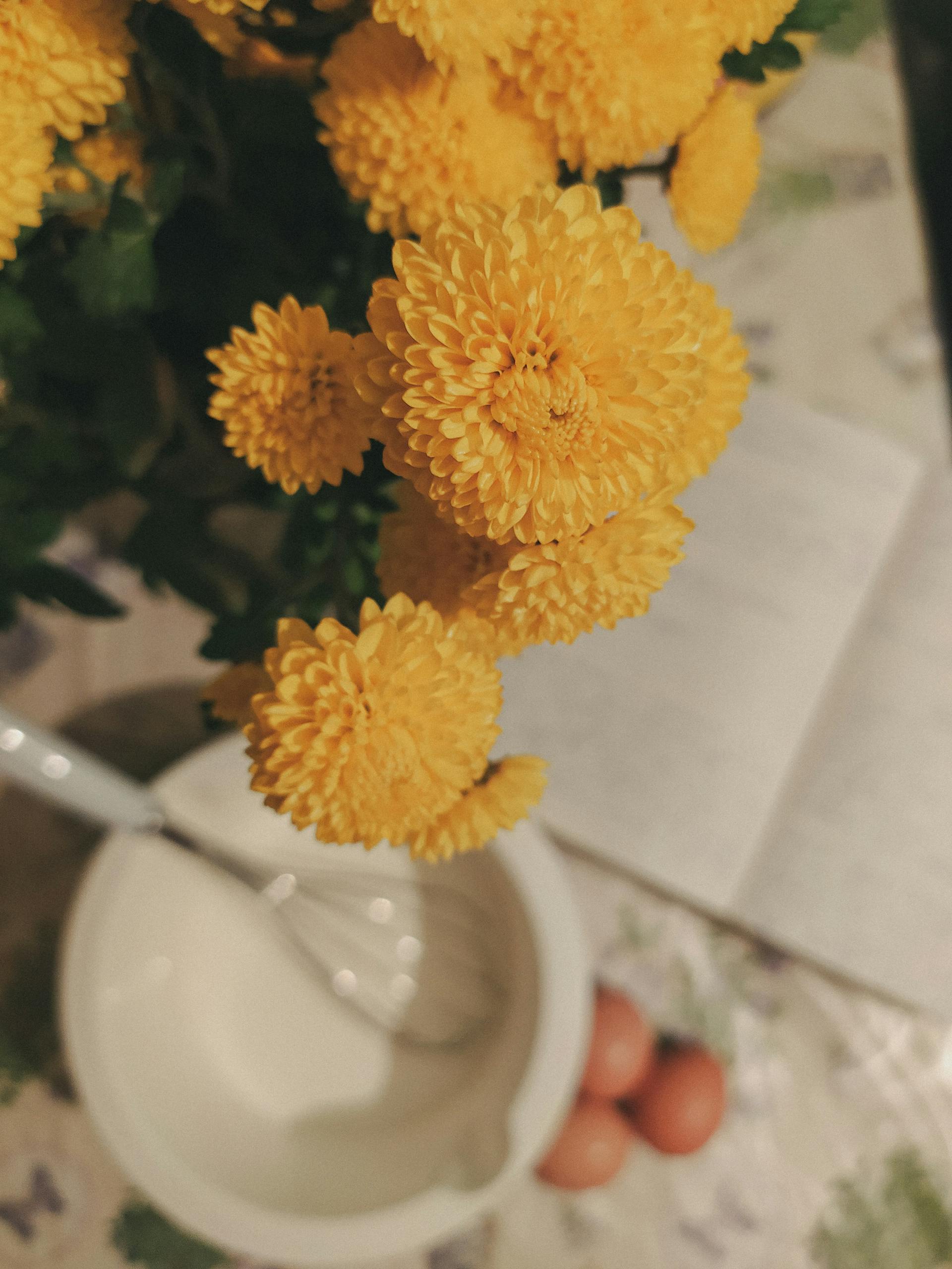 A close-up of yellow chrysanthemums with a bowl, whisk, and eggs on a floral tablecloth.
